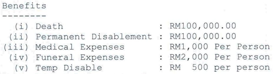 Group Personal Accident Basic Plan Sample